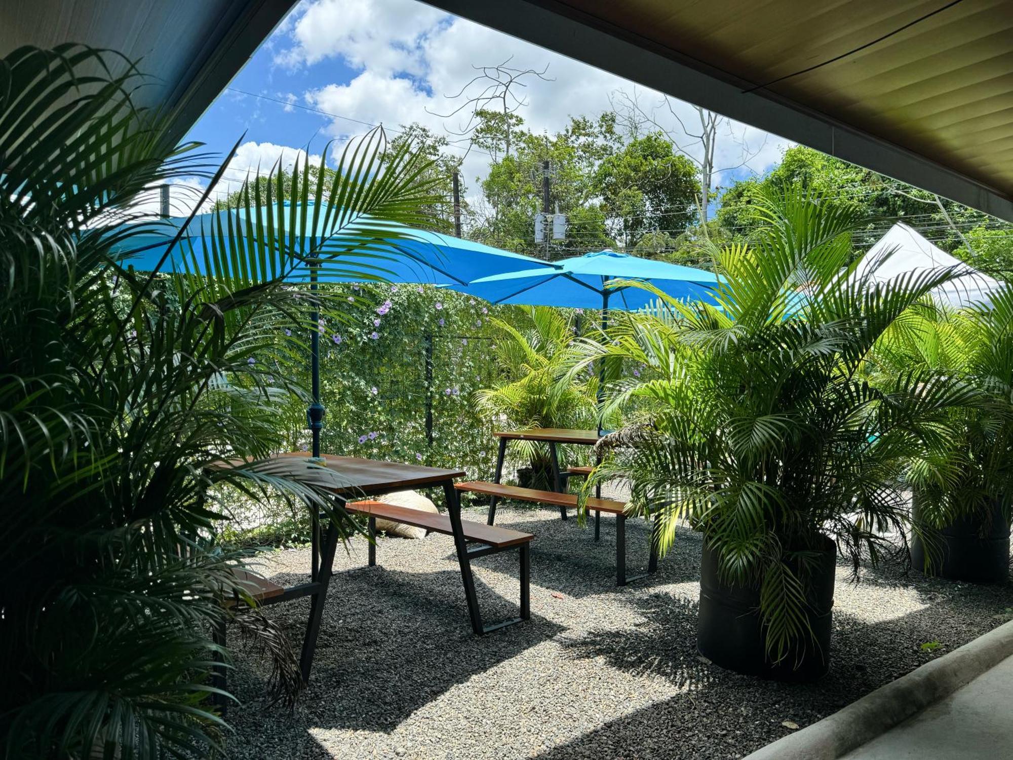 La Fortuna Pura Vibra Hostel מראה חיצוני תמונה